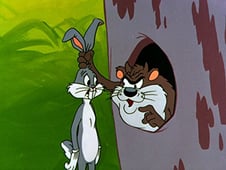 The Bugs Bunny and Tweety Show, Season 1 Episode 10 image