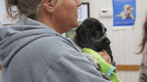 The Incredible Dr. Pol, Season 13 Episode 7 image