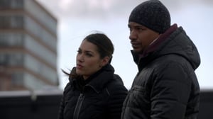 The Mysteries of Laura, Season 2 Episode 12 image