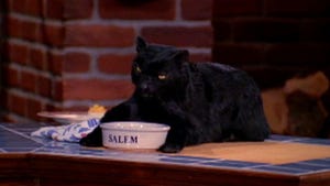 Sabrina, the Teenage Witch, Season 1 Episode 11 image