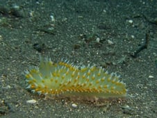 The Blue Planet, Season 1 Episode 5 image