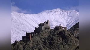 Nature, Season 17 Episode 8 image