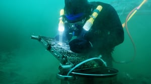 Bering Sea Gold, Season 9 Episode 8 image