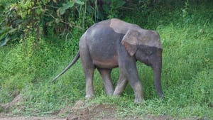 The Living Room, Season 3 Episode 7 image