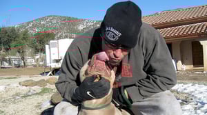Pit Bulls and Parolees, Season 1 Episode 1 image