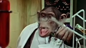 Lancelot Link: Secret Chimp, Season 1 Episode 5 image