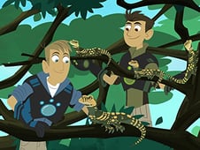 Wild Kratts, Season 5 Episode 13 image