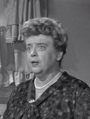 The Andy Griffith Show, Season 2 Episode 9 image