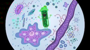 Trivia Quest, Season 1 Episode 9 image