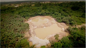 Jungle Gold, Season 2 Episode 5 image