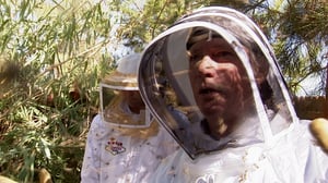 Monsterquest, Season 4 Episode 4 image