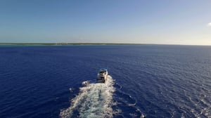 Cooper's Treasure, Season 1 Episode 4 image