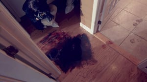 Murder Decoded, Season 1 Episode 1 image