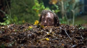 Grimm, Season 5 Episode 12 image