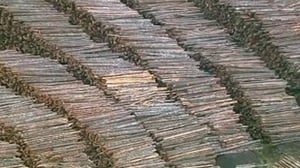 Ax Men, Season 1 Episode 3 image