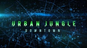 Urban Jungle, Season 1 Episode 1 image