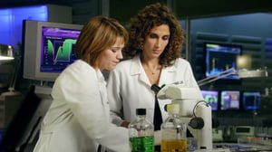 CSI: NY, Season 6 Episode 6 image