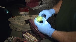 Cops, Season 29 Episode 3 image