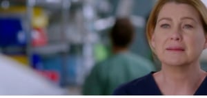 Grey's Anatomy, Season 14 Episode 23 image
