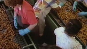 Modern Marvels, Season 13 Episode 23 image