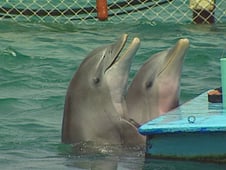 Discovering the World, Season 1 Episode 5 image