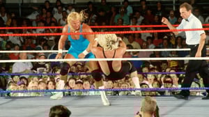 WWE Raw, Season 1 Episode 28 image