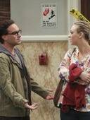 The Big Bang Theory, Season 9 Episode 8 image