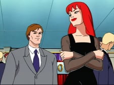 Spider-Man: The Animated Series, Season 3 Episode 8 image
