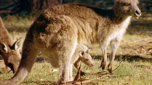 Journey with Dylan Dreyer, Season 1 Episode 25 image