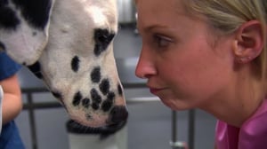 Bondi Vet, Season 1 Episode 9 image