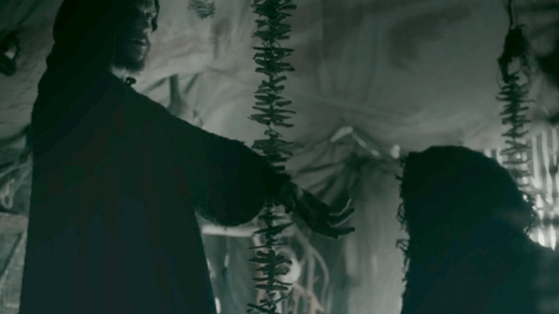 Gustaf Skarsgard, Vikings