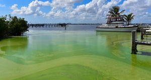 Changing Seas, Season 9 Episode 2 image