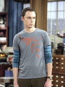 The Big Bang Theory, Season 2 Episode 9 image