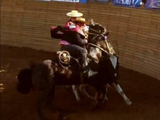 Anthony Bourdain: No Reservations, Season 5 Episode 11 image