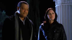 CSI: Crime Scene Investigation, Season 11 Episode 19 image