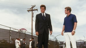 Hawaii Five-O, Season 3 Episode 12 image