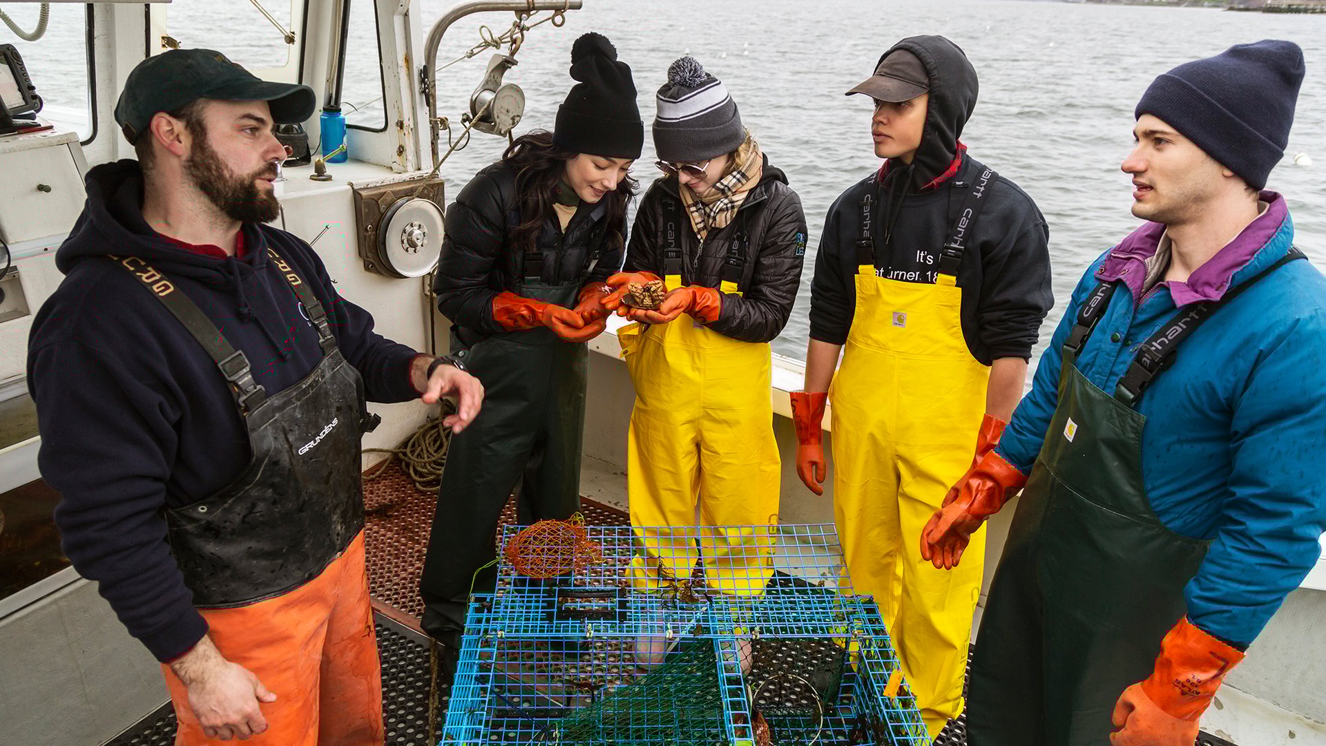 Natasha Liu Bordizzo, Kathryn Newton, Jacques Colimon, and Alex Fitzalan