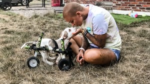 Amanda to the Rescue, Season 2 Episode 9 image