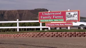 Freaky Eaters, Season 2 Episode 3 image