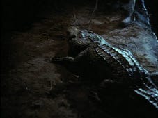 Swamp Thing, Season 2 Episode 8 image