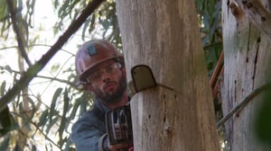 Deadliest Job Interview, Season 1 Episode 4 image