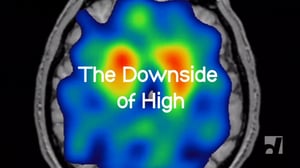 The Nature of Things, Season 49 Episode 10 image