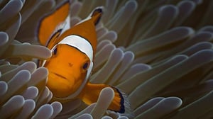 Life, Season 1 Episode 4 image