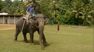 The Amazing Race, Season 6 Episode 11 image