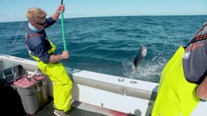 Battlefish, Season 1 Episode 6 image