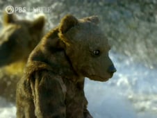 Nature, Season 38 Episode 16 image