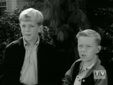 Leave It to Beaver, Season 3 Episode 11 image