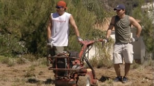 Newlyweds: Nick & Jessica, Season 2 Episode 19 image