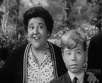My Three Sons, Season 3 Episode 18 image