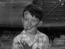 Leave It to Beaver, Season 1 Episode 33 image